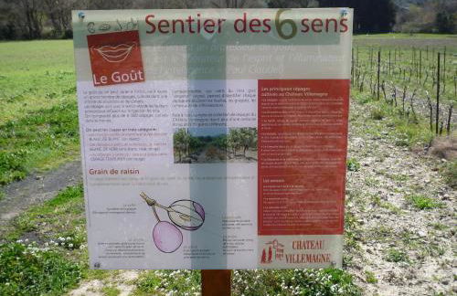 Château Villemagne - Foto 13