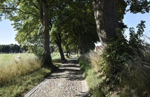 Romantic Retreat in Kröpelin near Beach - Photo 34