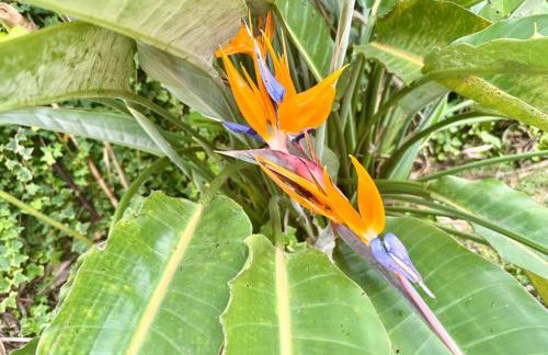 Recanto Daniel - Foto 22