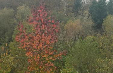 home edwige - Foto 9