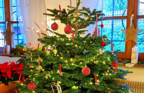 Appartements Villa Fortuna - Foto 60