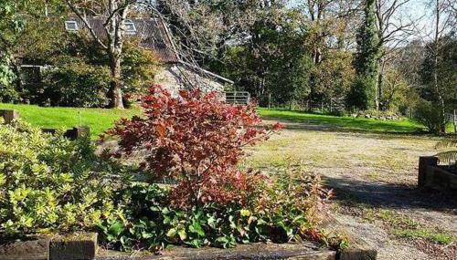 Charming Barn Conversion - Idyllic Rural Retreat- Pet Friendly - Foto 4, Garden, Garden view