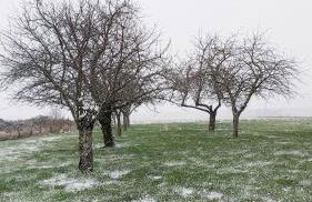 L'Orée des Champs - Photo 7