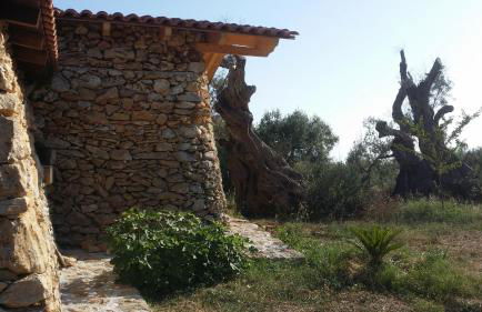 Agriturismo Tenuta La Siesta - Foto 16