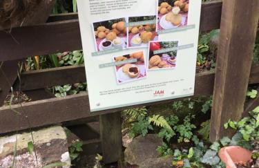 Peaceful Paradise - Photo 40