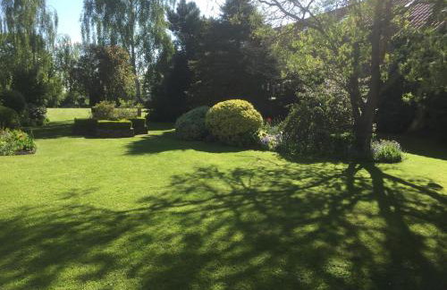 Cherry Tree - Foto 16