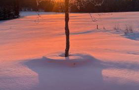 Villa Barka - Foto 48