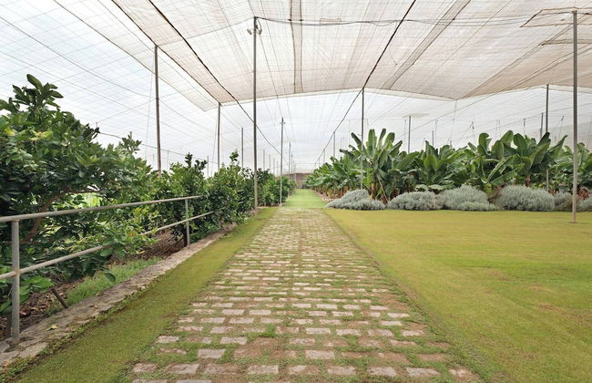 Finca La Calabacera Casa Azul - Foto 29