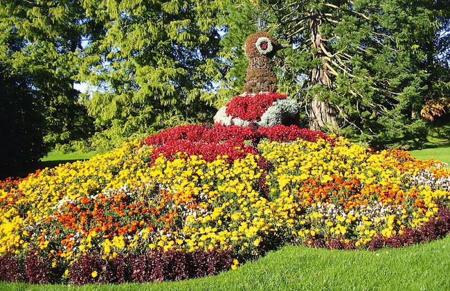 Feriendorf Ofingen, Bad Durrheim - Foto 17