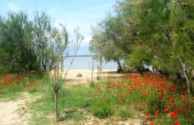 Dragi - With Pool - A4 - Foto 16