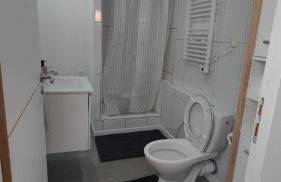 Bel appartement F2 entièrement rénové - Foto 9