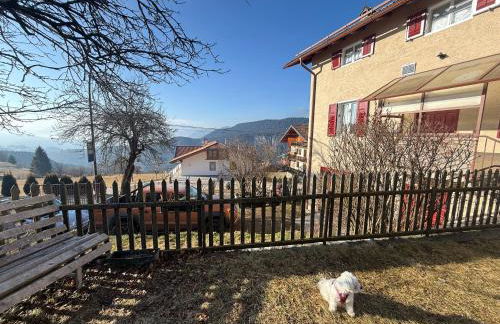 Casa Montana & Zampette - Photo 10