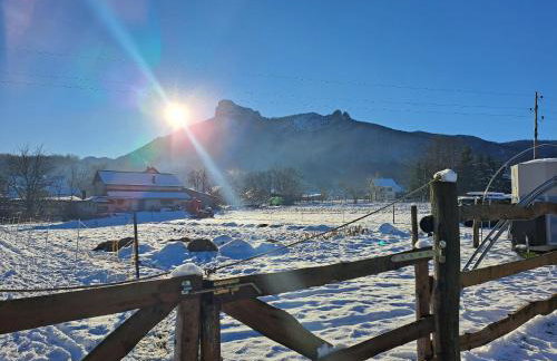 Prigorka, a fairytale house - Foto 18