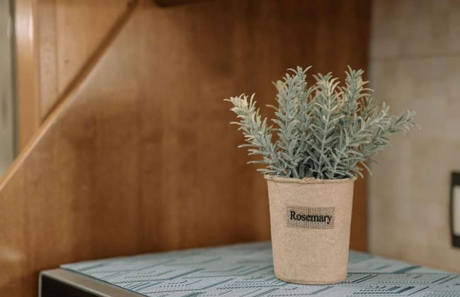 Estell s Sweet Luxury House - Photo 21