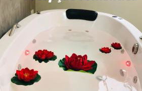 Uai House Casa com Jacuzzi, cromoterapia e colchão massageador - Foto 59