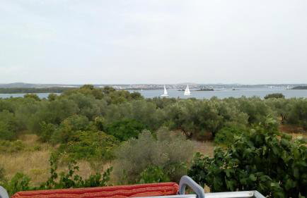 Grand Vista - Photo 11