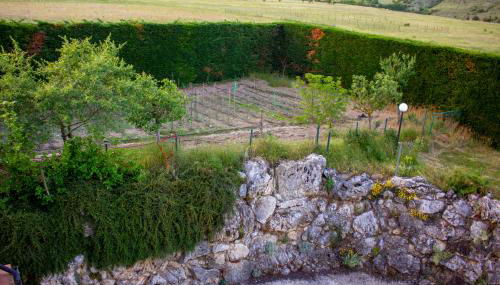 Villa Giulia - Foto 5, Garden