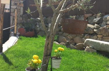 EL PATIO DE LAS TINAJAS - Photo 17