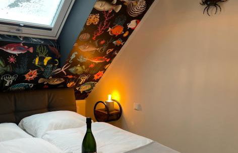 Küstenwaldbude luv - Foto 17