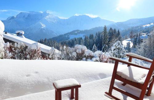 Vue splendide Mont Blanc - Foto 16