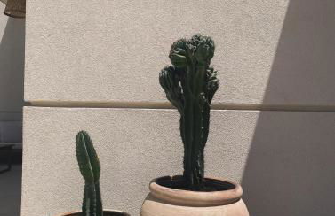 Villa Clori - Foto 39