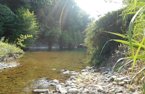 B&B la rivière - Foto 21