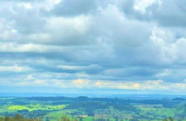 Fazenda Serra da Cascata desde 1915 - Foto 32