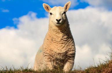 Little Cottage of the Beacons - Foto 36