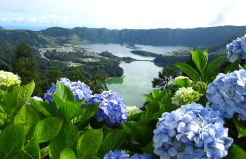 Casa Nuno e Lorena - Casa completa e Localização ideal - Photo 21