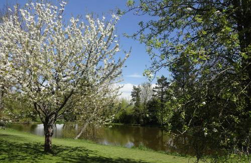 Maison de campagne en Limousin - Foto 24