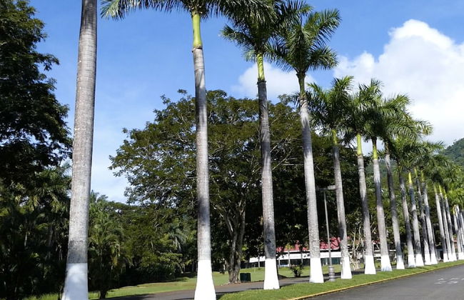 Viva Tambor Villas - Foto 2