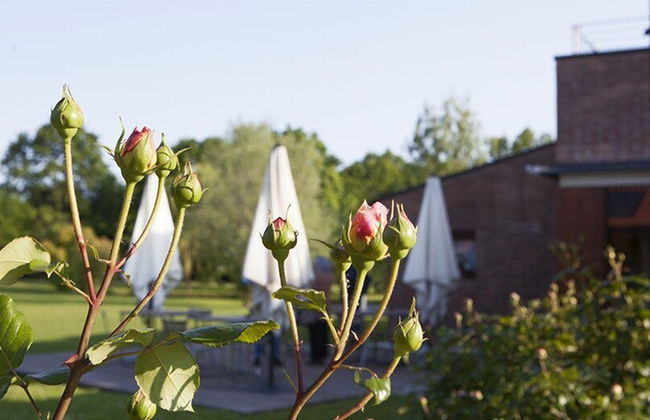 Relais Ormesani - Foto 47