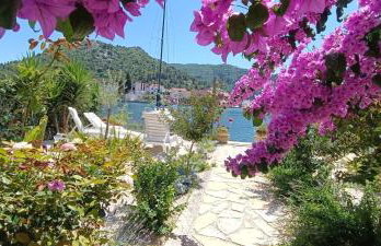 Stara kuća - Photo 4