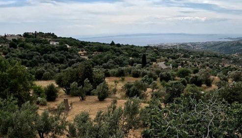 Virginia 's Vila Karies Chios - Foto 3