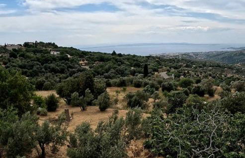 Virginia 's Vila Karies Chios - Photo 3