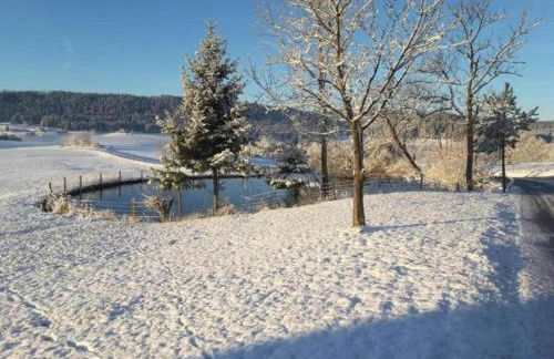 Nature Escape in Meisdorf - Foto 45