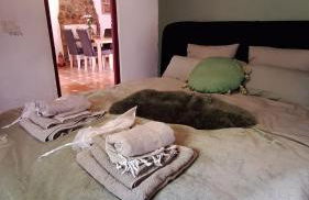 Finca el Agua da Vida (Los Eucaliptos & Los Olivos) - Foto 10