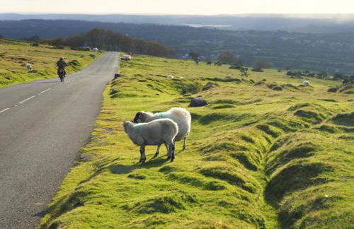 Old Miners Cottage - Foto 47