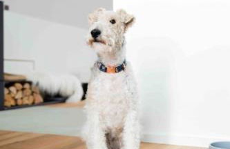 Harlepadd 3a - Foto 10