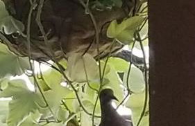 Private, Quite Casita , N. Scottsdale area,Private Pool & Patio, Cave Creek Az. - Photo 59