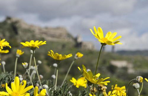 Casa Vacanza Cicirello - Foto 19