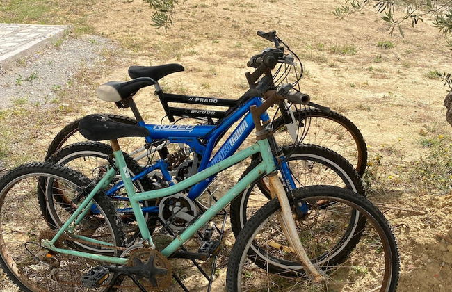 Villa in the Mountains Hammamet - Photo 29