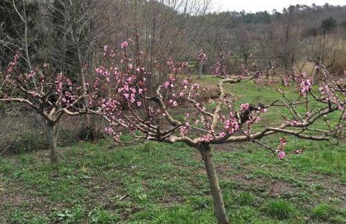 Appartamenti Borgo San Pietro - Foto 44