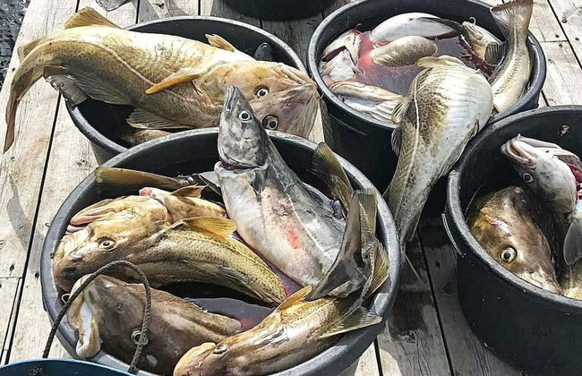 6 Person Holiday Home in Kverva - Foto 14