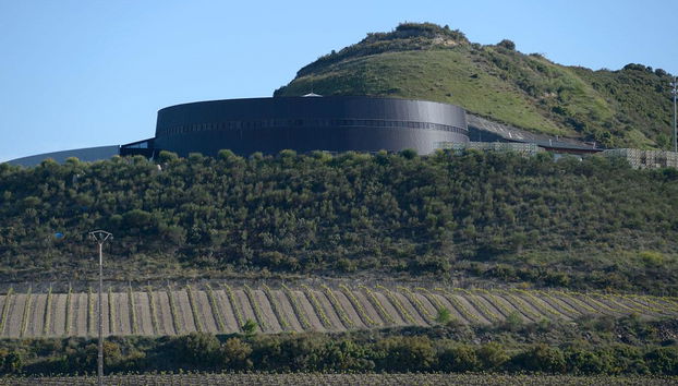 Royal Vineyard (Alava) - Photo 2