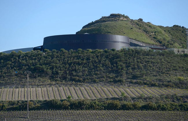 Royal Vineyard (Alava) - Photo 2