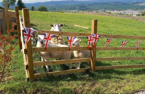 The Journeyman Luxury Shepherds Hut - Foto 35