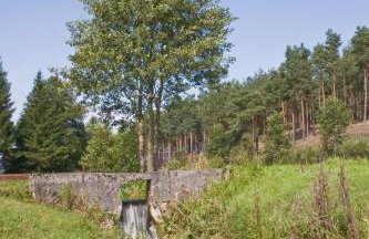 Agroturystyka Sominy - Foto 38