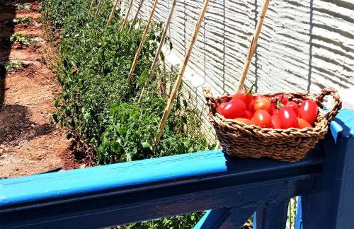 Allegria Family Hotel - Foto 45