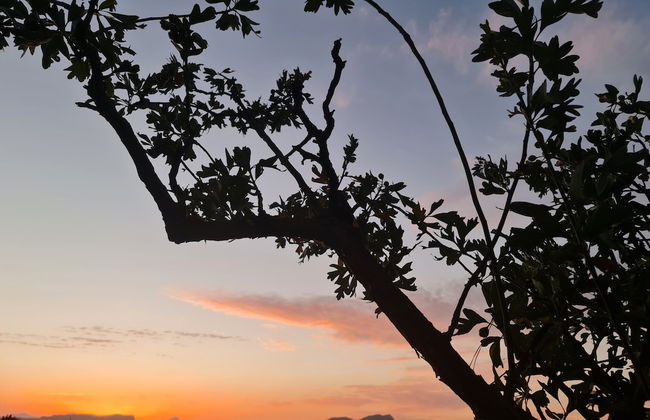 Burdi House Apartment Surrounded by Greenery and Tranquility Near the sea - Foto 14